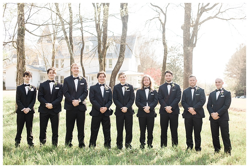 white house backdrop